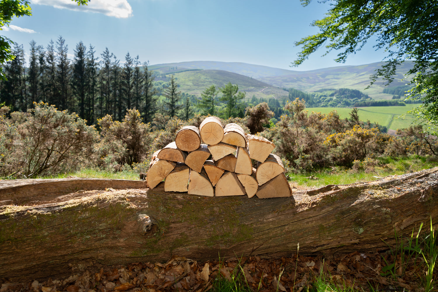 Kiln Dried Logs on location in the Angus Glens