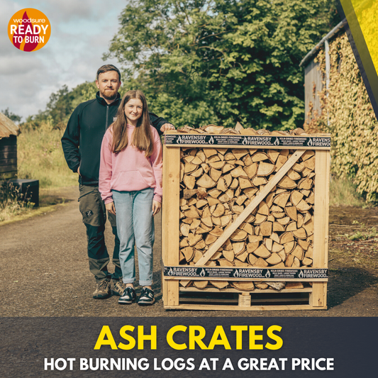 Ash Logs Near me