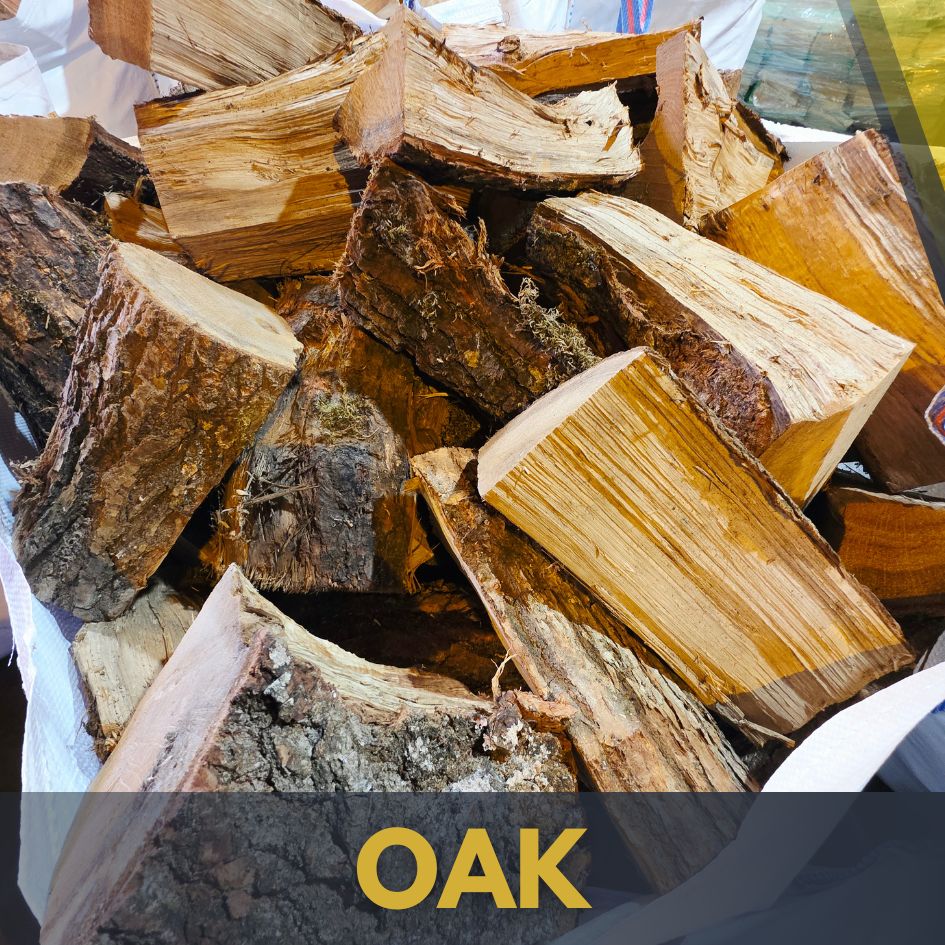 Log Club Specials