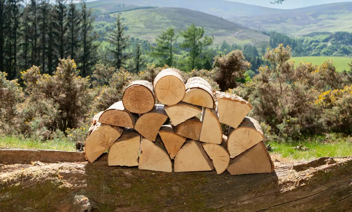 Stack of firewood on a log with a scenic background of trees and hills near Kirriemuir, Angus, Scotland.