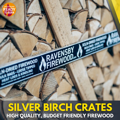 birch firewood logs