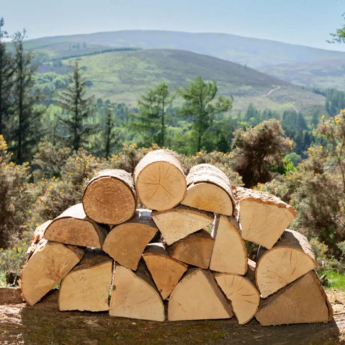 Kiln-Dried Bulk Hardwood Logs