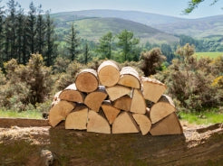 Kiln-dried hardwood logs stacked on a wood in remote Fife Countryside