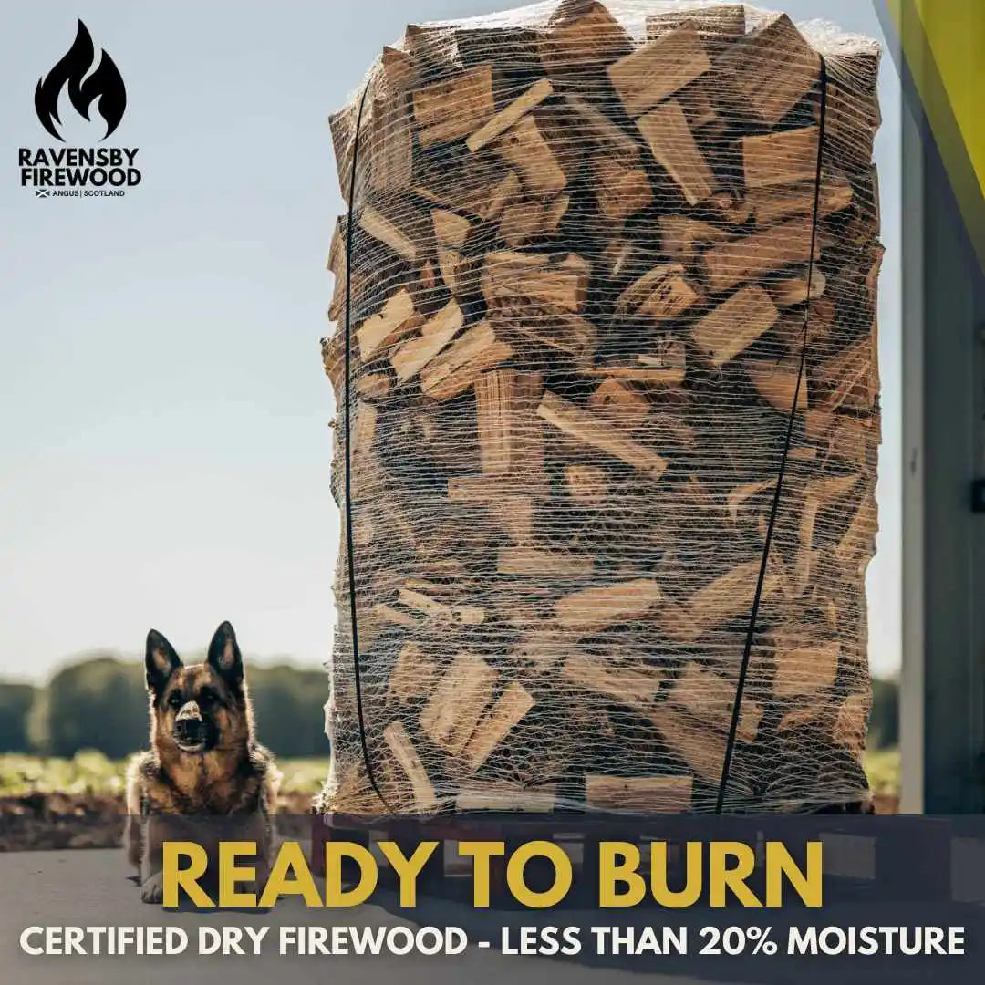 Bag of kiln-dried firewood with a dog in the background, labeled 'Ravensby Firewood' and 'Ready to Burn'.
