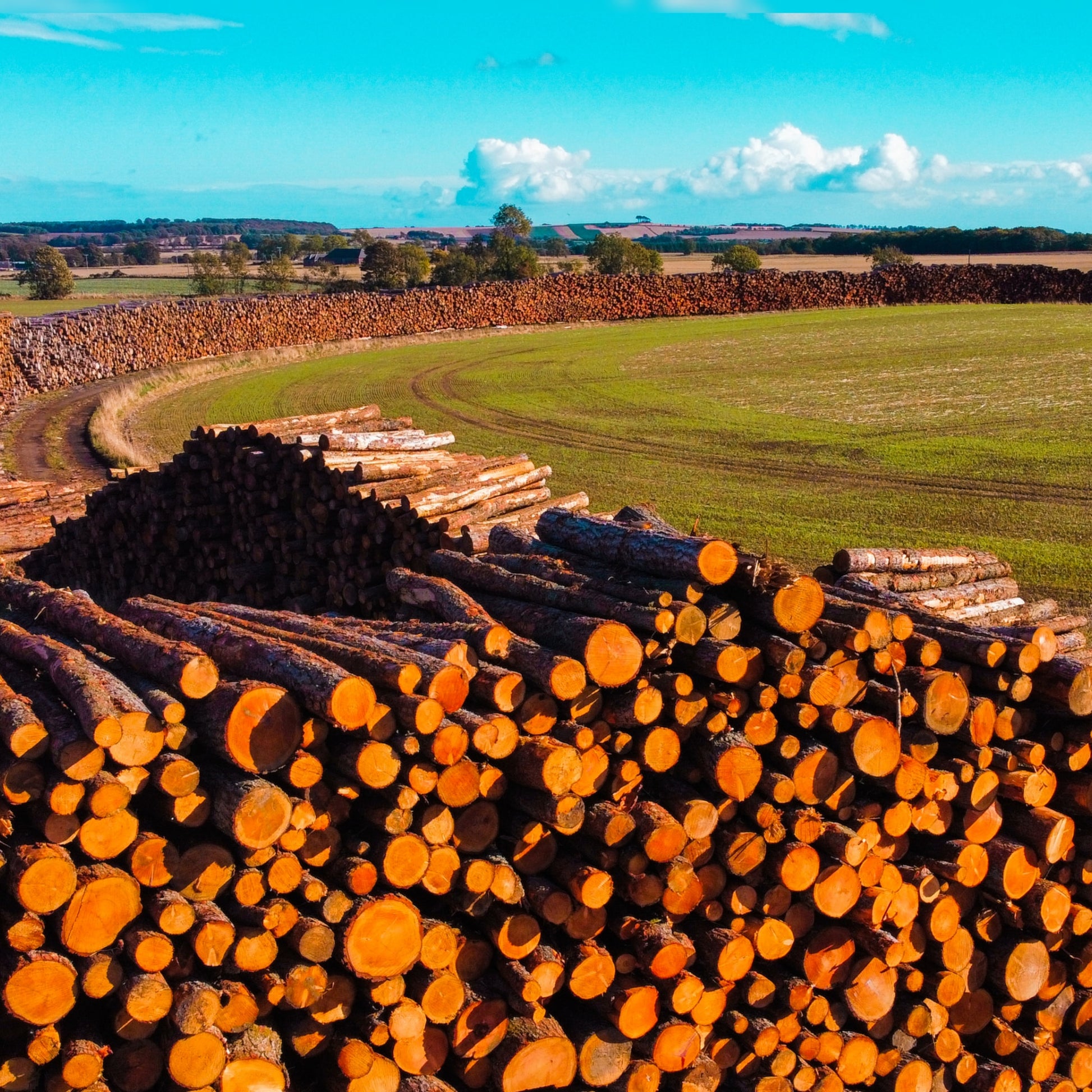 Cheap Fire Logs Near Me | Loose Hardwood | Ravensby Firewood